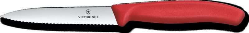 VICTORINOX Nož SwissClassic na ovocie a zeleninu 10cm - kale green (6.7734.C1)