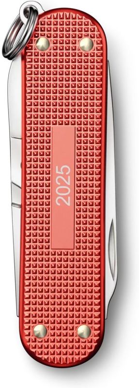 VICTORINOX Zatvárací nôž CLASSIC SD ALOX LE 2025 - stone red (0.6221.L25)