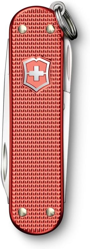 VICTORINOX Zatvárací nôž CLASSIC SD ALOX LE 2025 - stone red (0.6221.L25)