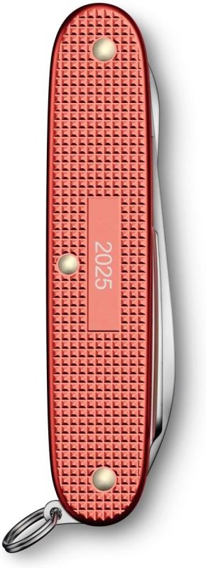 VICTORINOX Zatvárací nôž PIONEER X ALOX LE 2025 - stone red (0.8231.L25)