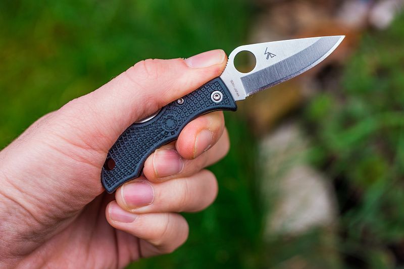 SPYDERCO Zatvárací nôž Ladybug 3 Lockback - čierny (SCLBKP3)