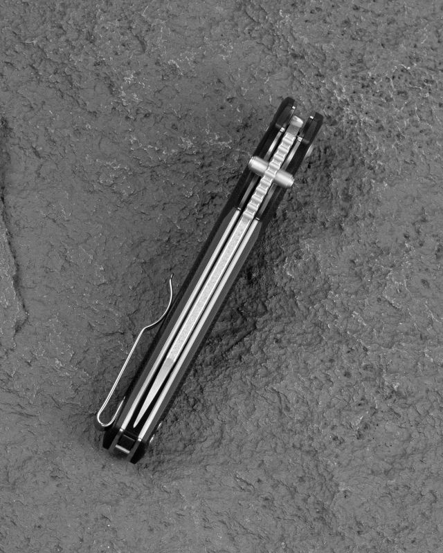 BESTECH Zatvárací nôž SNAKEBIRD ButtonLock - black (BG58C)