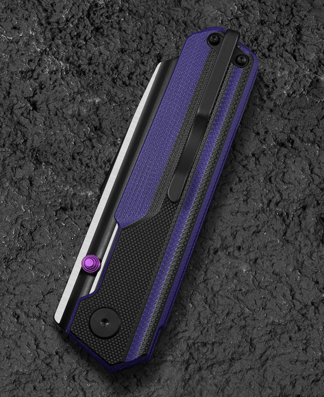 BESTECH Zatvárací nôž TARDIS LinerLock Black PVD - purple / black (BG54D)