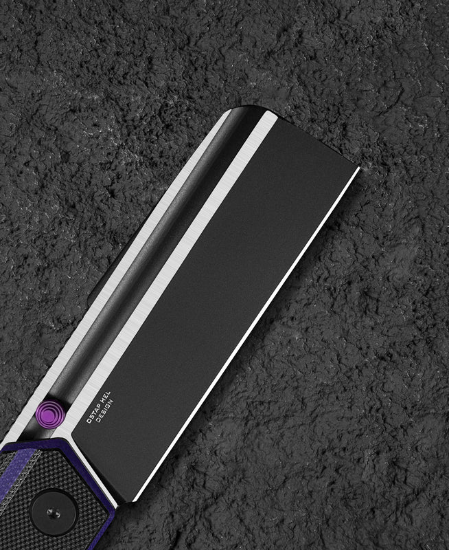BESTECH Zatvárací nôž TARDIS LinerLock Black PVD - purple / black (BG54D)